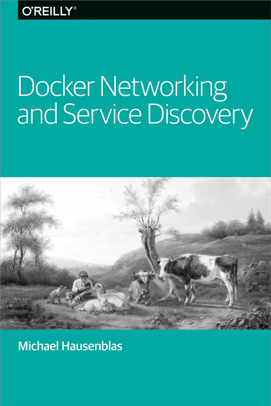 Docker Networking And Service Discovery Michael Hausenblas