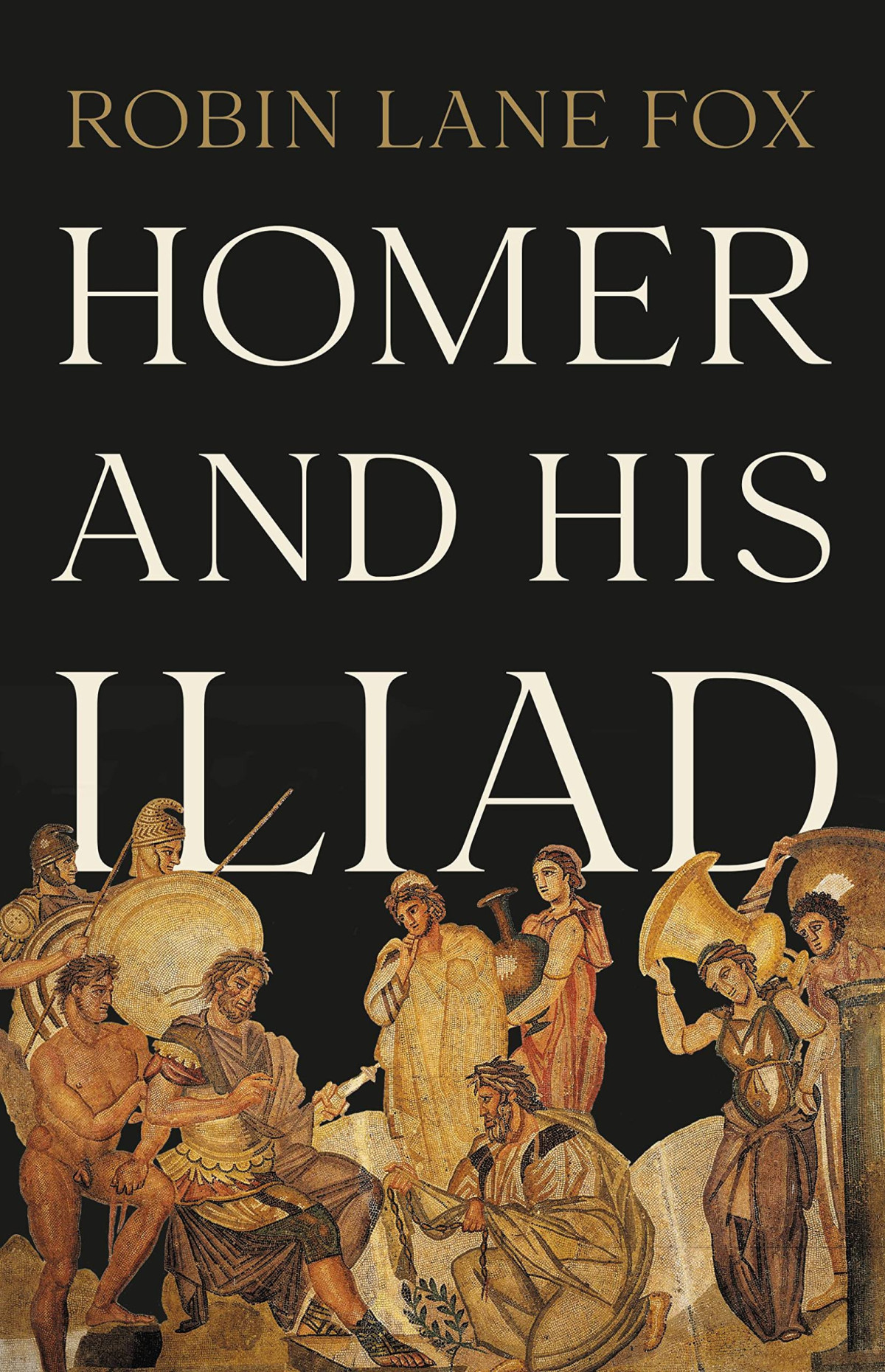 Homer And His Iliad Robin Lane Fox