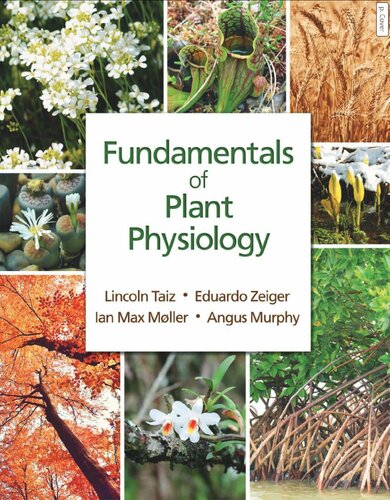 Fundamentals Of Plant Physiology 1st Edition Lincoln Taiz Eduardo Zeiger