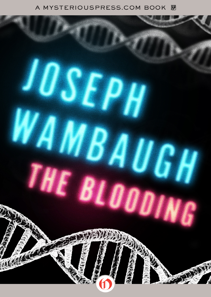 Harbor Nocturne 1st Edition Joseph Wambaugh