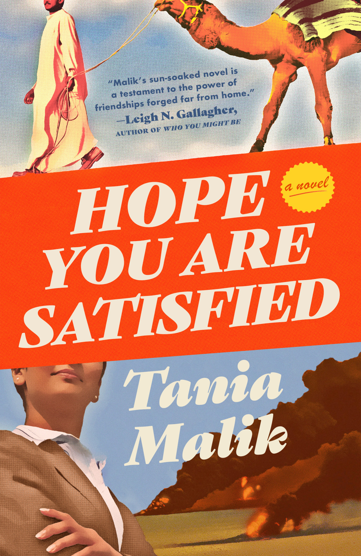 Hope You Are Satisfied A Novel Tania Malik