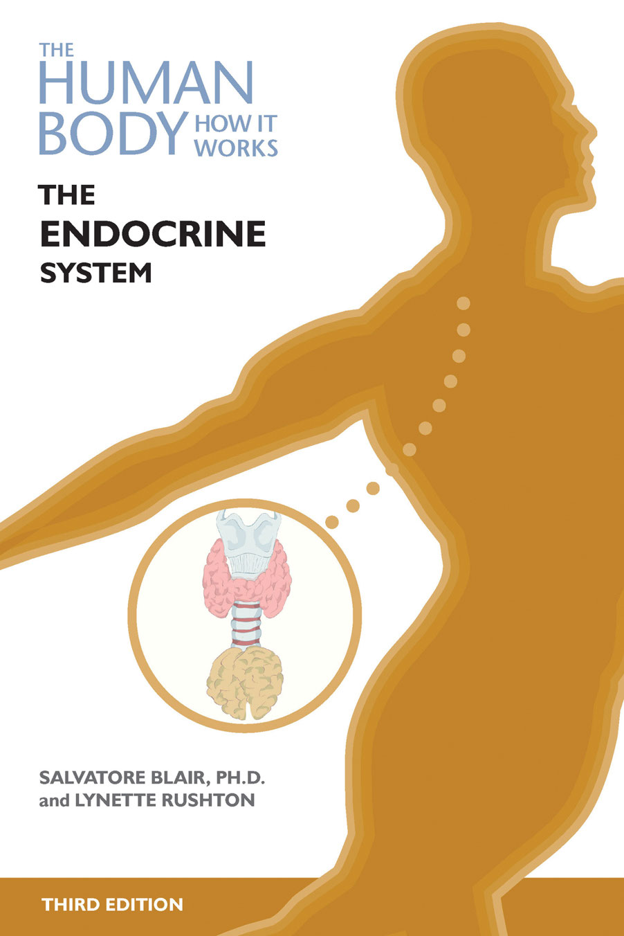 The Endocrine System Salvatore Blair Lynette Rushton