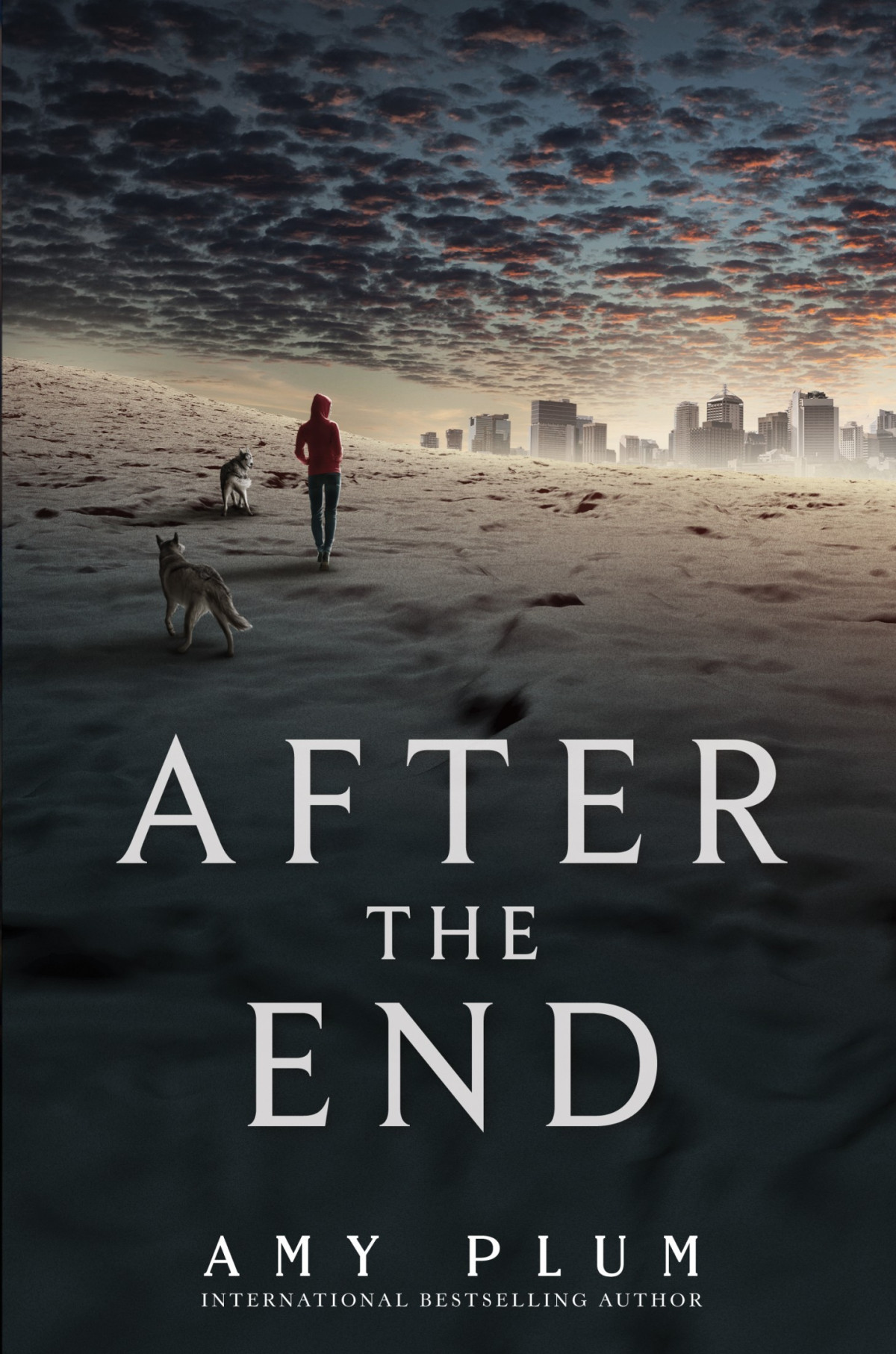 After The End Amy Plum