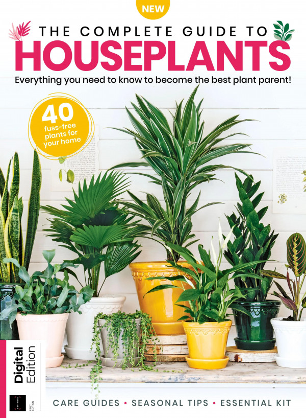 The Complete Guide To Houseplants Everything You Need To Know To Become The Best Pant Parent Jo Lambell