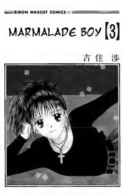 Marmalade Boy Volume 3 Wataru Yoshizumi