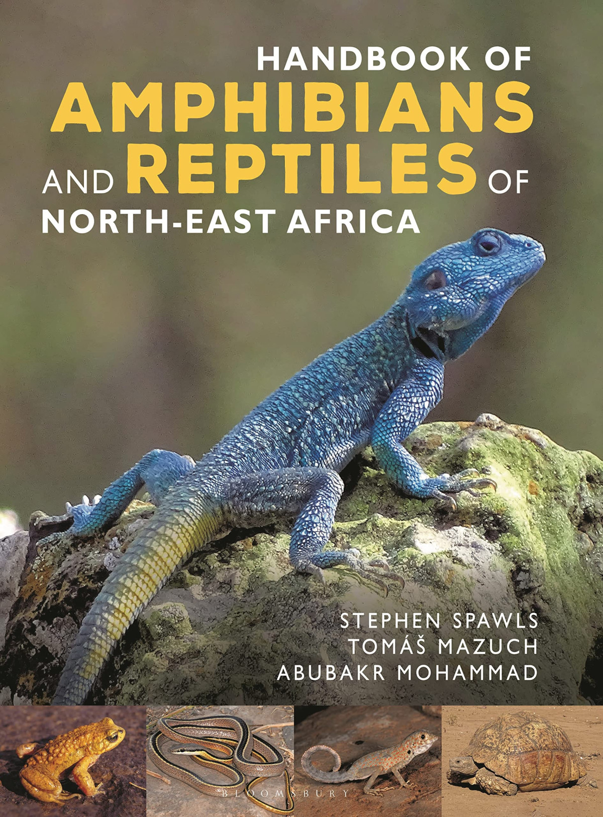 Handbook Of Amphibians And Reptiles Of Northeast Africa Stephen Spawls