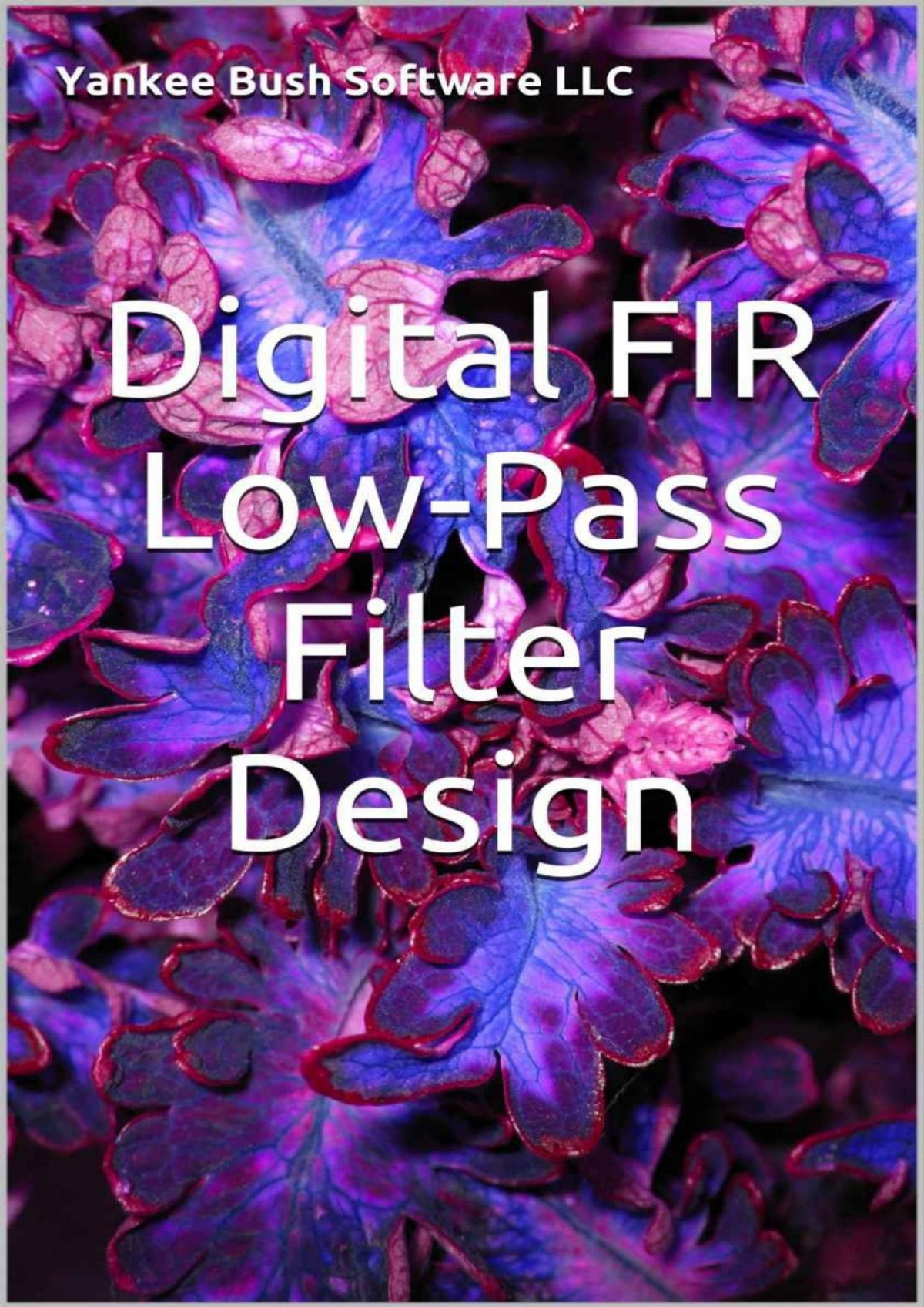 Digital Fir Lowpass Filter Design Yankee Bush Software Llc