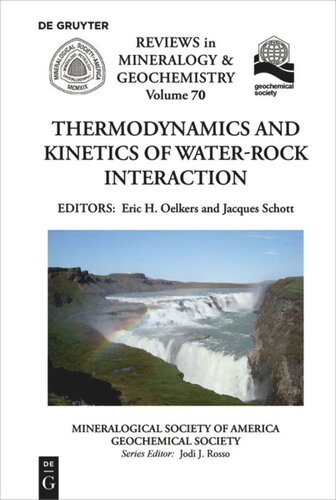 Thermodynamics And Kinetics Of Waterrock Interaction Eric H Oelkers Editor Jacques Schott Editor