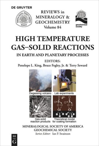 High Temperature Gassolid Reactions In Earth And Planetary Processes Penelope King Editor Bruce Jr Fegley Editor Terry Seward Editor Mineralogical Society Of America Editor