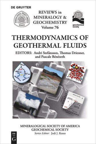 Thermodynamics Of Geothermal Fluids Andri Stefnsson Editor Thomas Driesner Editor Pascale Bnzeth Editor
