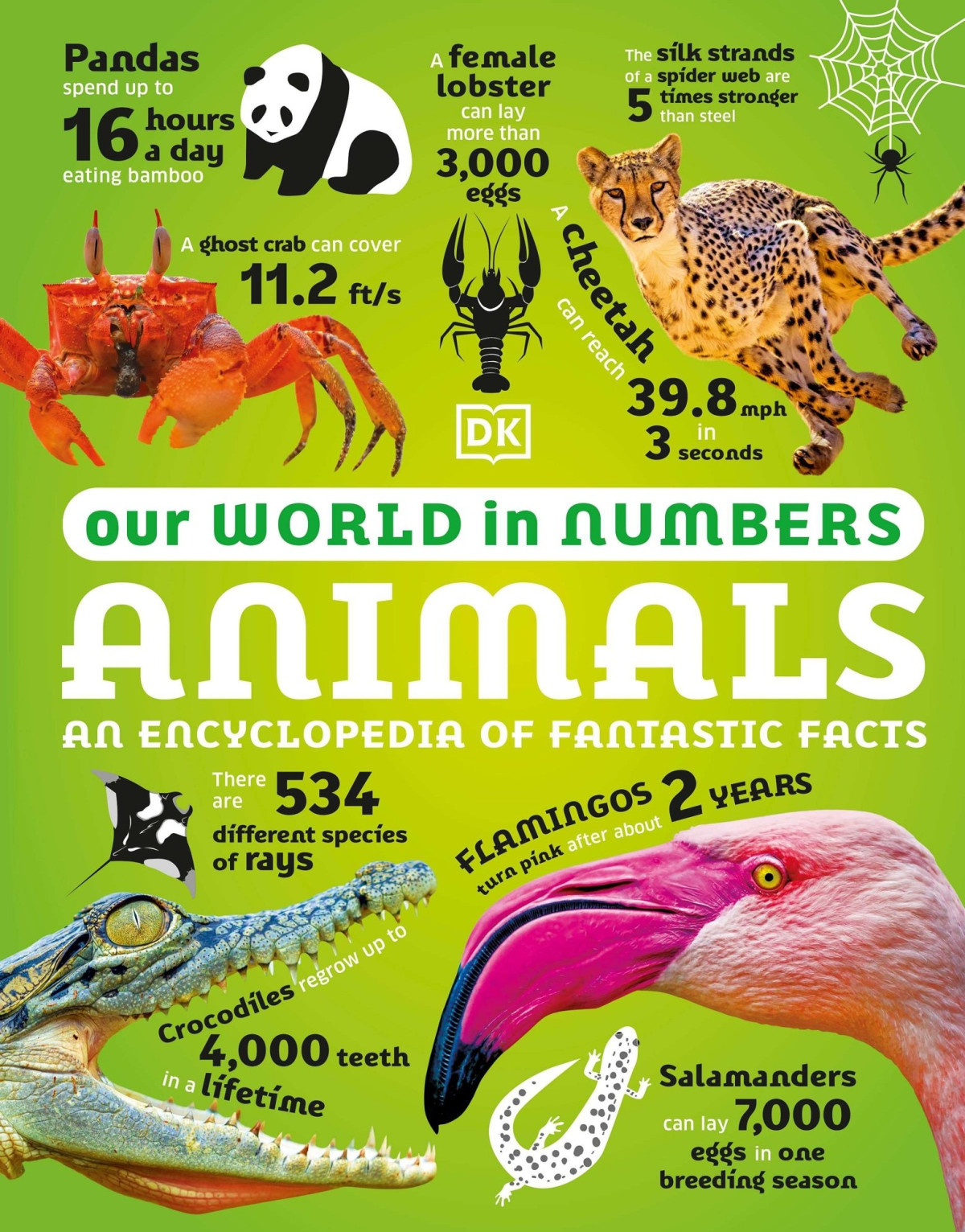Our World In Numbers Animals An Encyclopedia Of Fantastic Facts Dorling Kindersley
