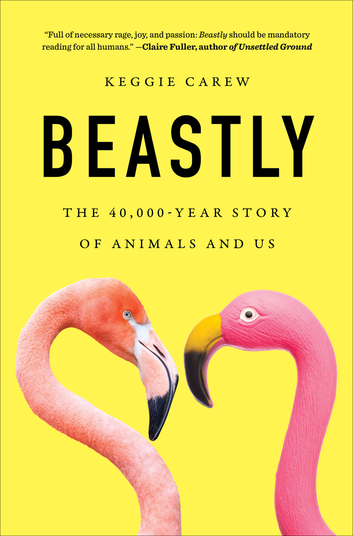 Beastly The 40000year Story Of Animals And Us Keggie Carew