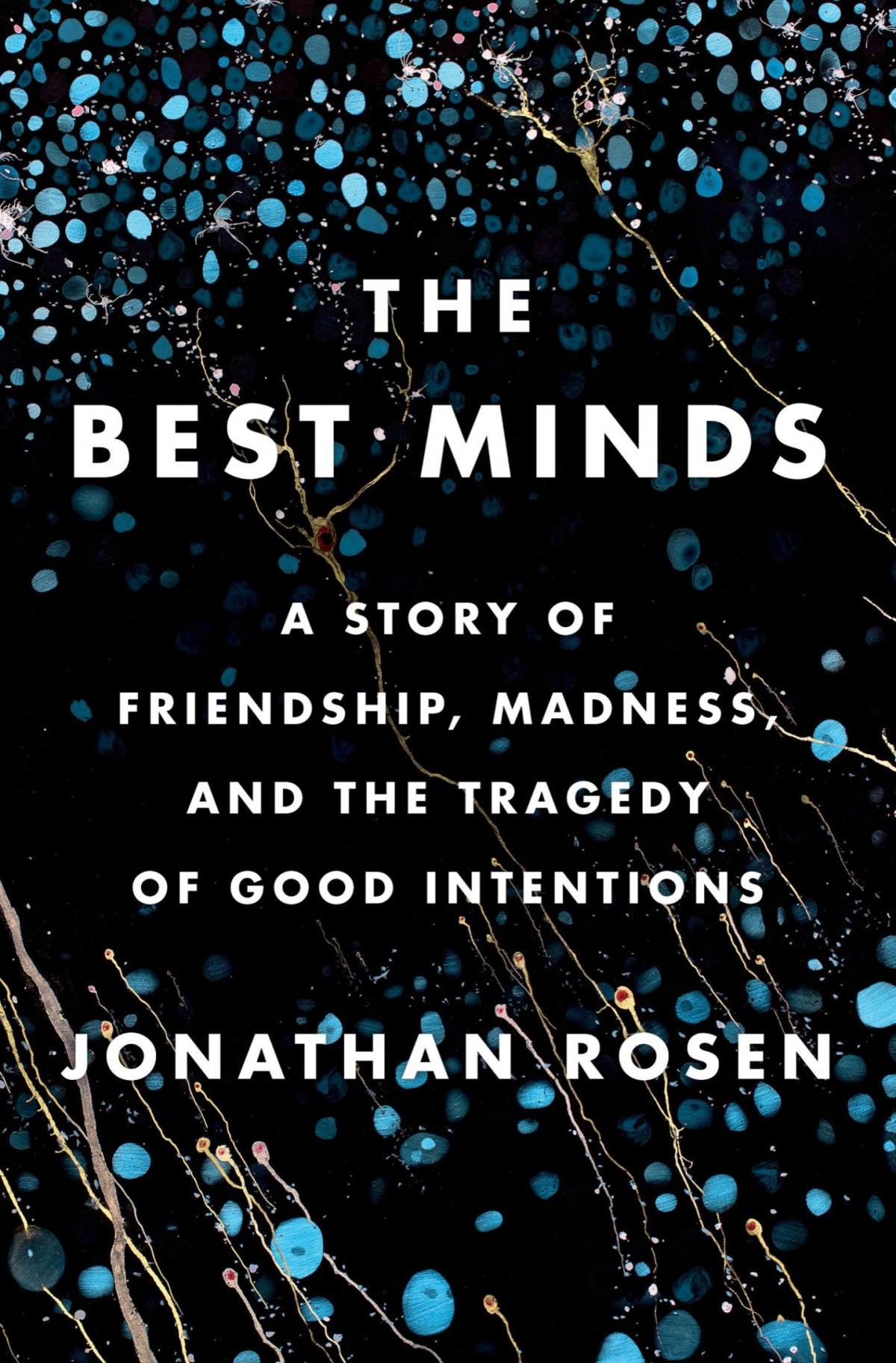 The Best Minds A Story Of Friendship Madness And The Tragedy Of Good Intentions Jonathan Rosen