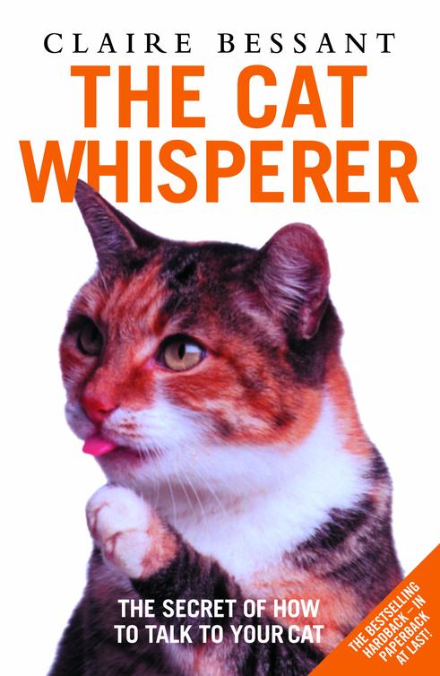 The Cat Whisperer Claire Bessant