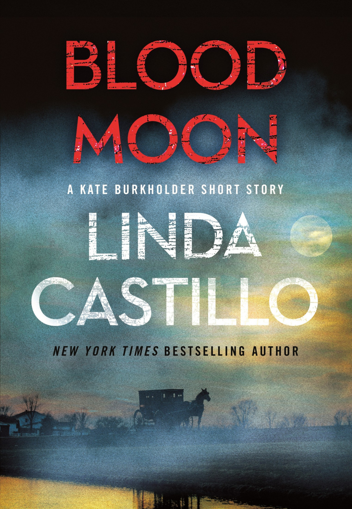 Blood Moon Linda Castillo