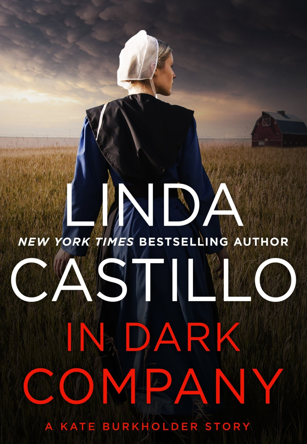 In Dark Company Linda Castillo