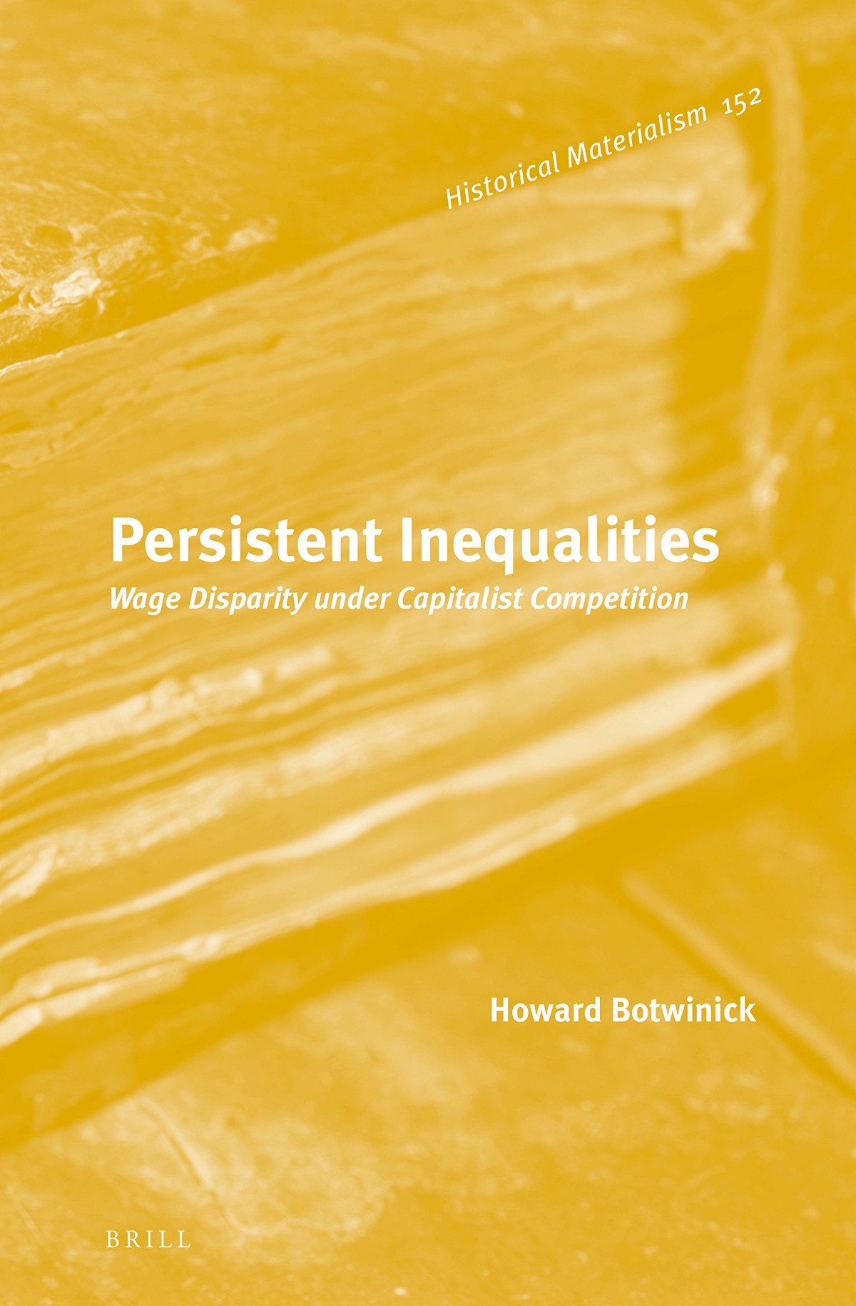 Persistent Inequalities Wage Disparity Under Capitalist Competition 1st Edition Howard Botwinick