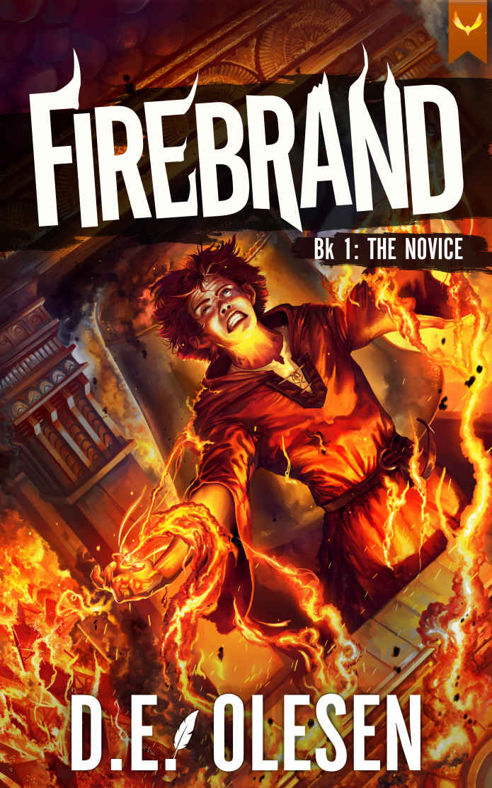 Firebrand The Novice A Litrpg Adventure De Olesen