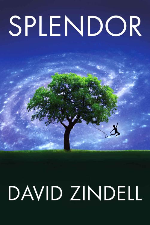 Splendor David Zindell