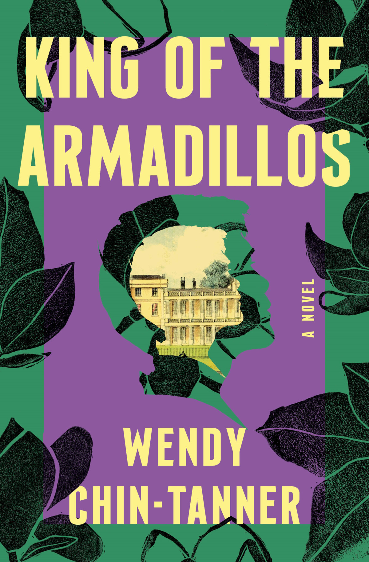 King Of The Armadillos Wendy Chintanner