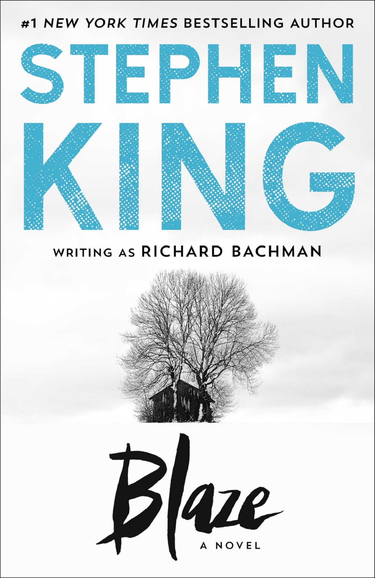 Blaze Stephen King Richard Bachman