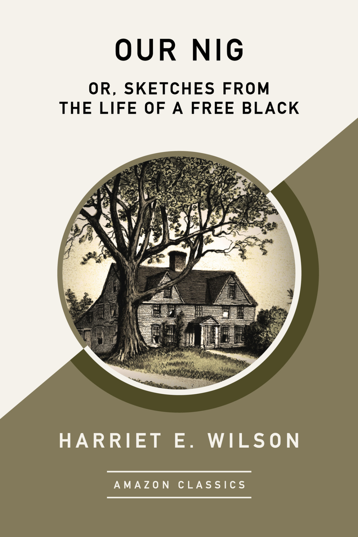 Our Nig Or Sketches From The Life Of A Free Black Harriet E Wilson