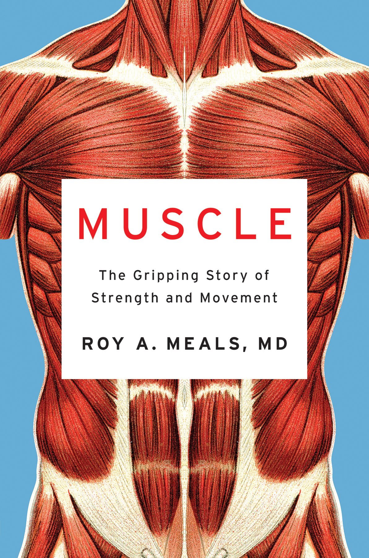 Muscle The Gripping Story Of Strength And Movement Roy A Meals Md