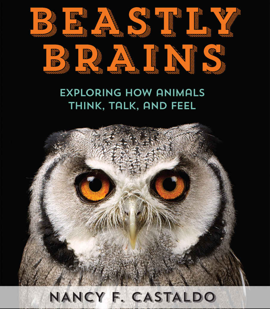 Beastly Brains Exploring How Animals Think Talk And Feel Nancy F Castaldo