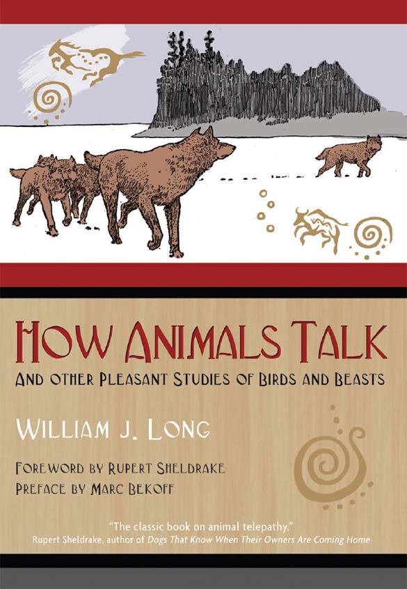 How Animals Talk William J Long