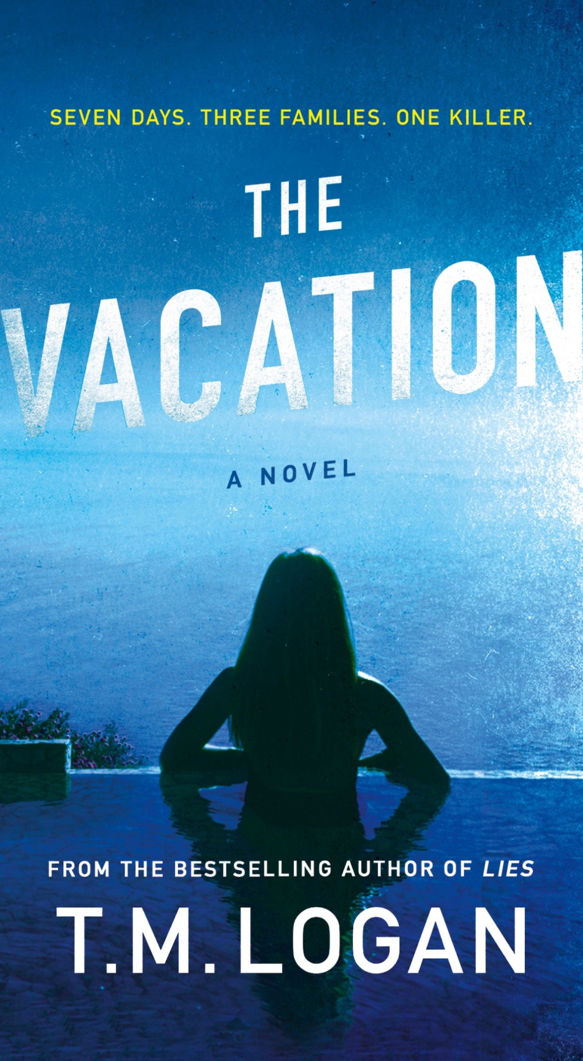 The Vacation T M Logan