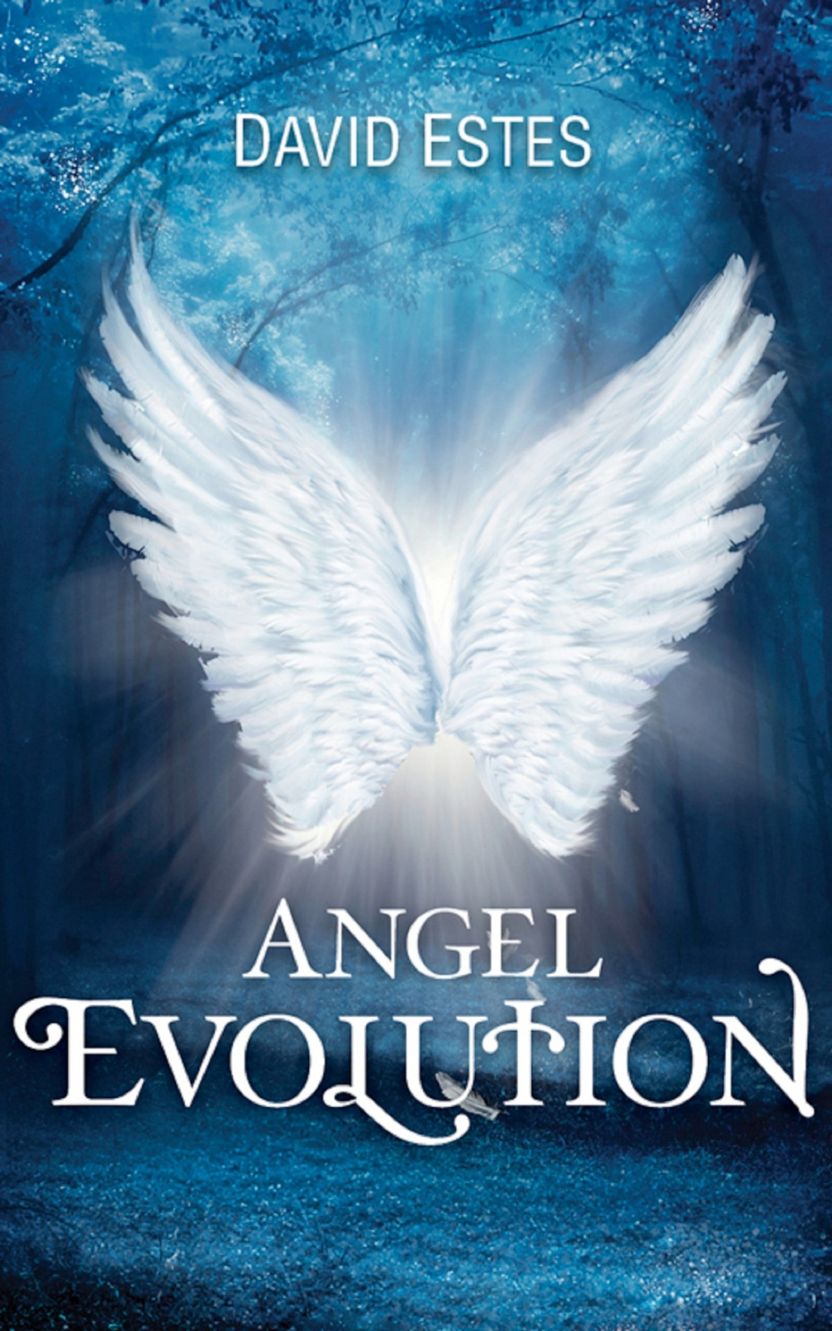 Angel Evolution David Estes