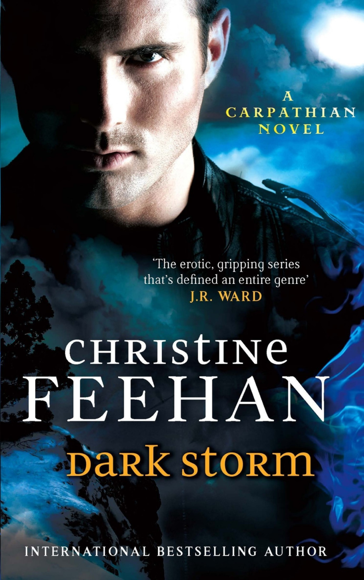 Dark Storm Christine Feehan