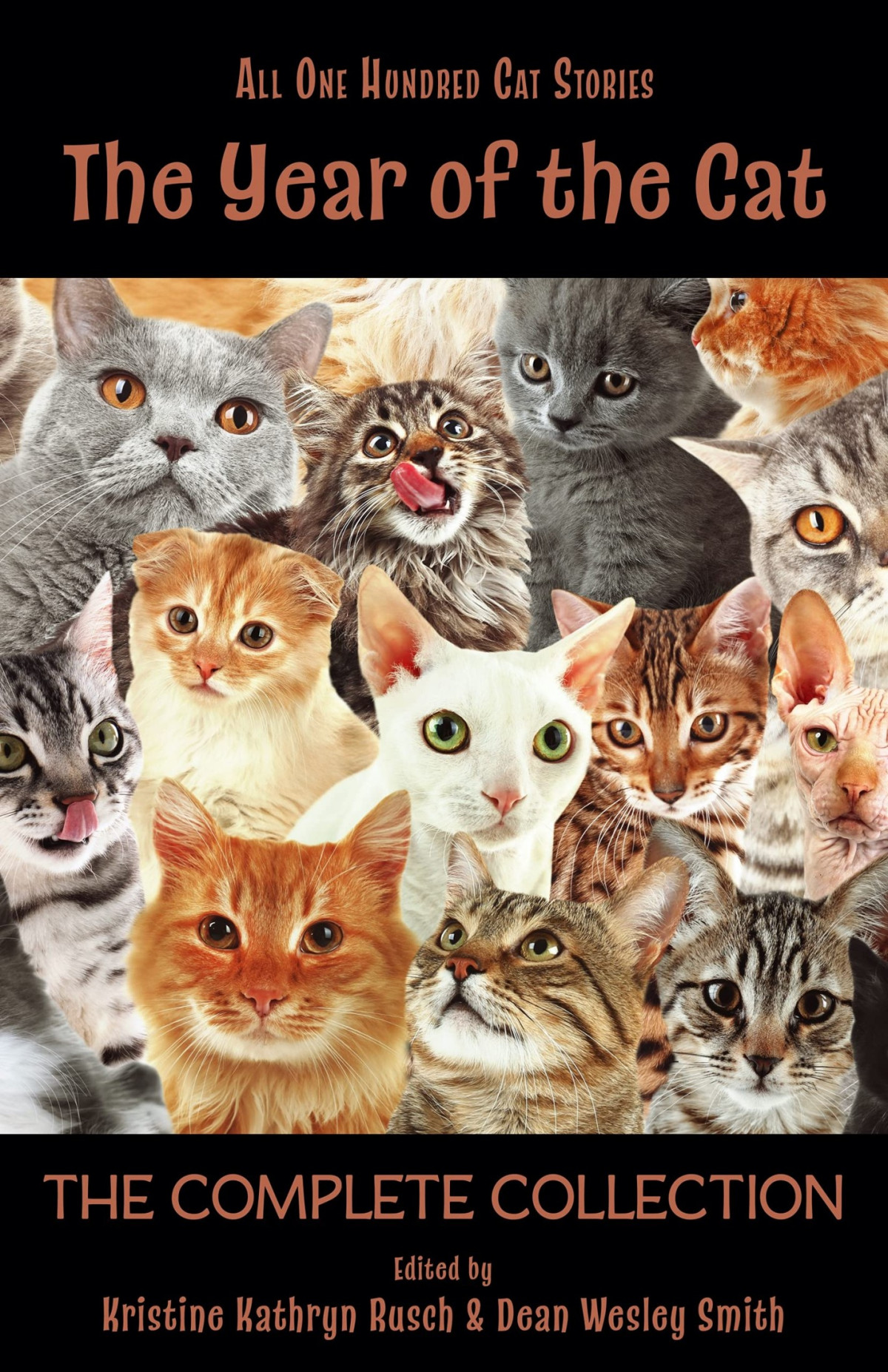 The Year Of The Cat The Complete Collection Kristine Kathryn Rusch Dean Wesley Smith