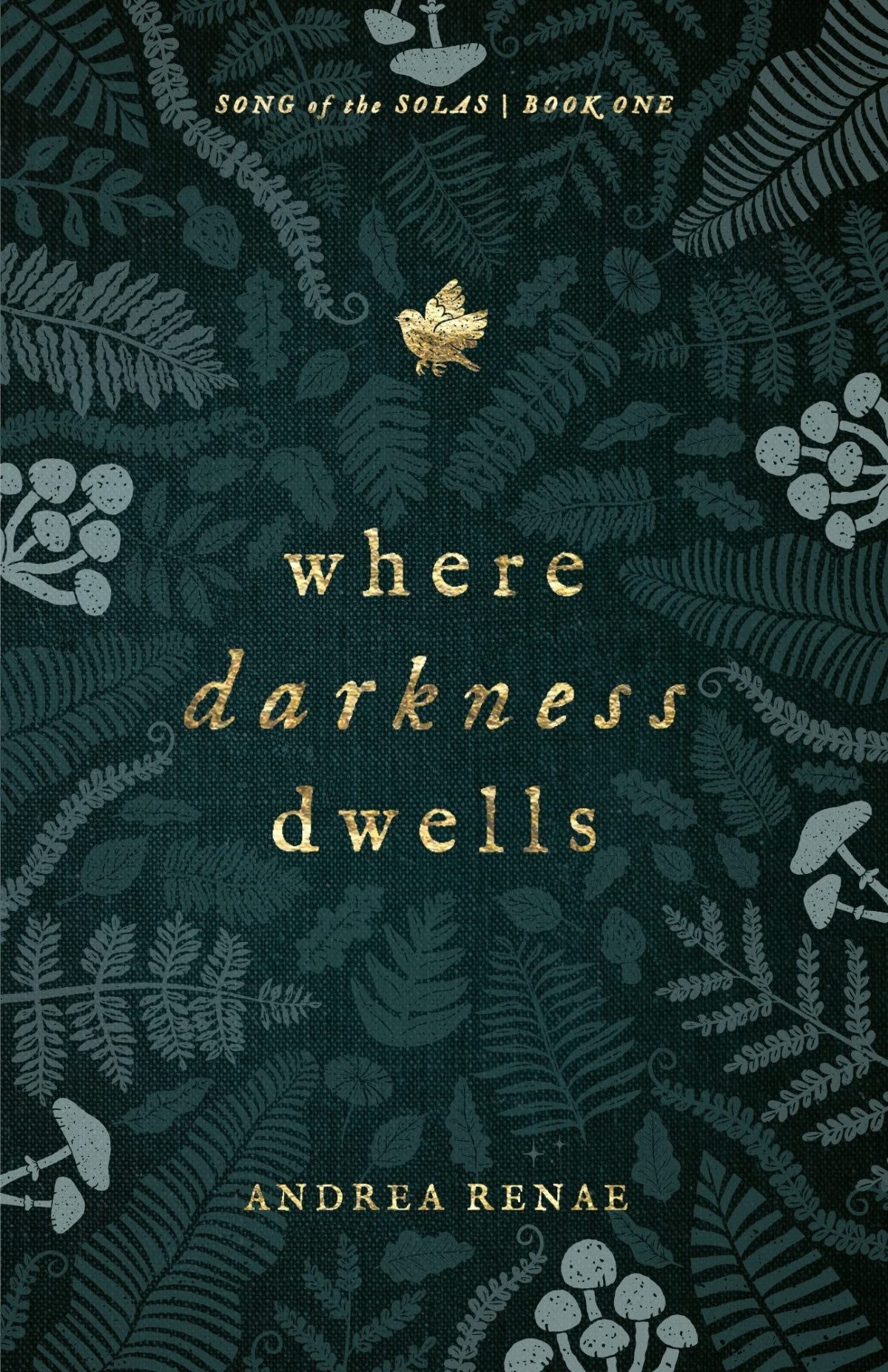 Where Darkness Dwells Andrea Renae