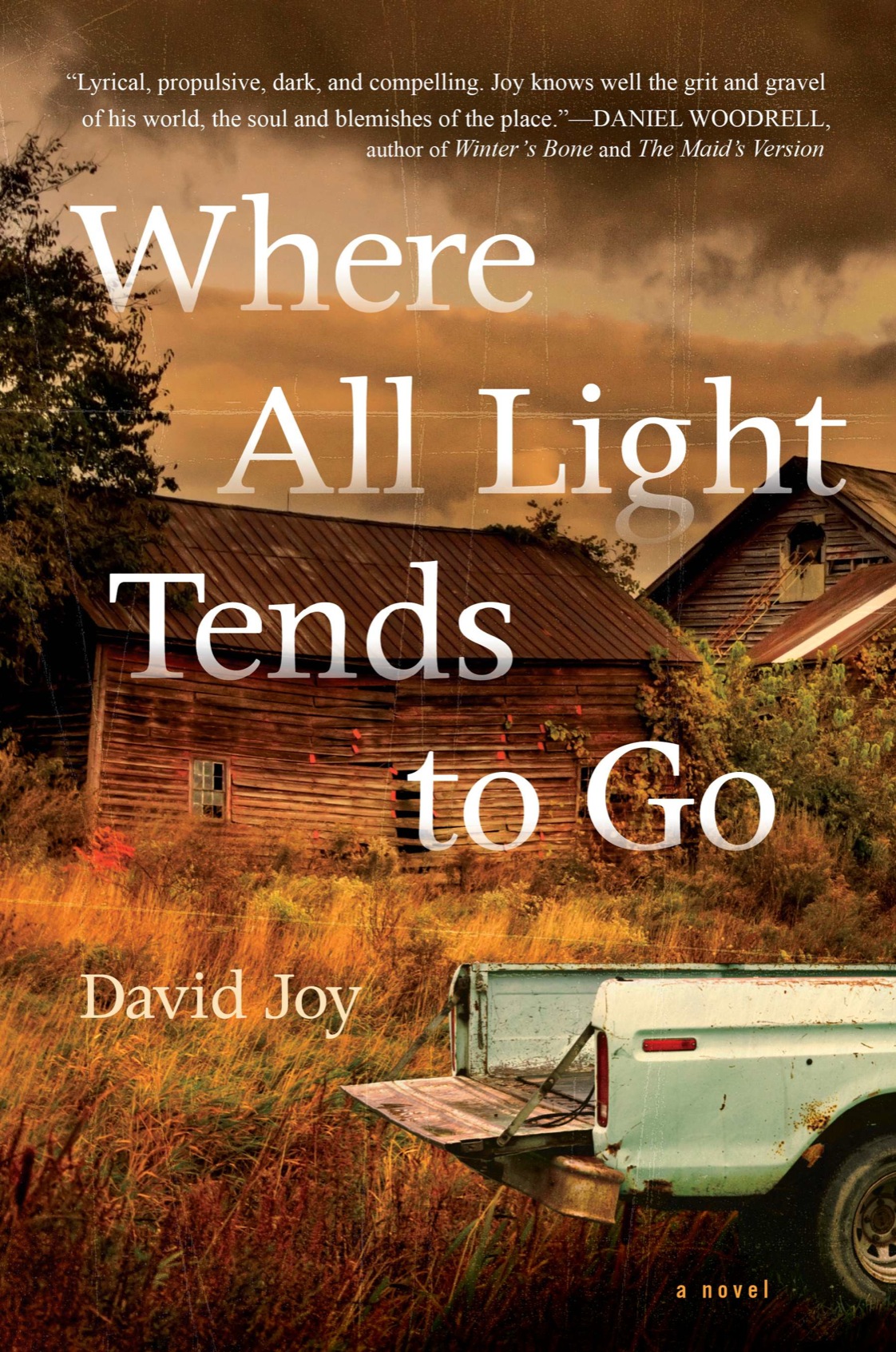 Where All Light Tends To Go 1st Edition David Joy