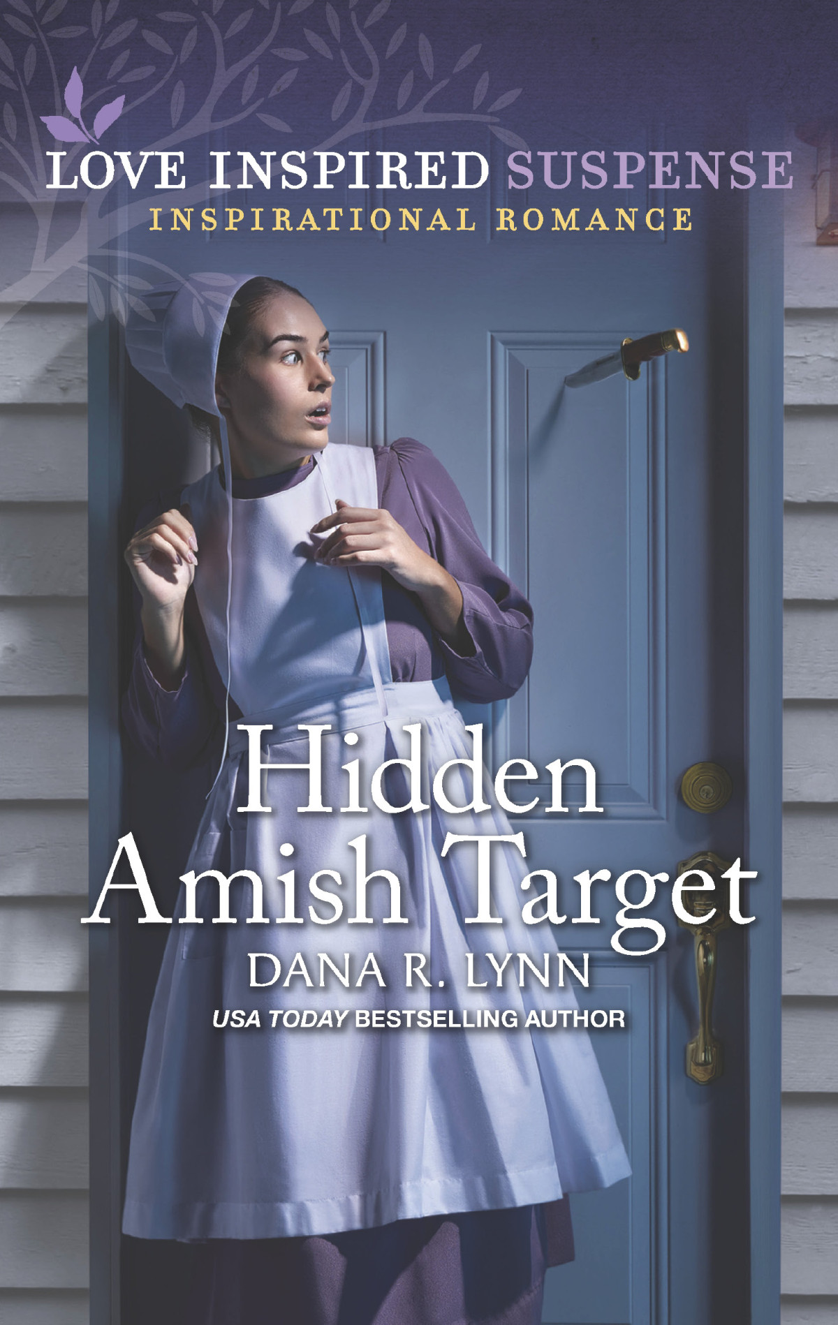 Hidden Amish Target Dana R Lynn