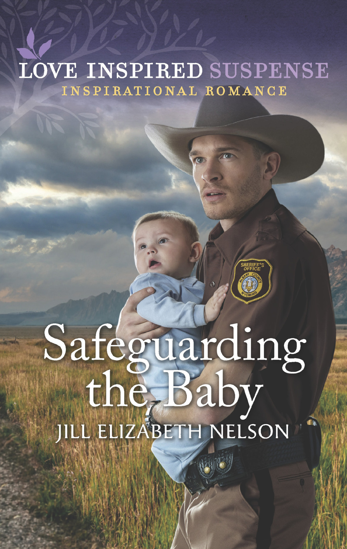Safeguarding The Baby Jill Elizabeth Nelson