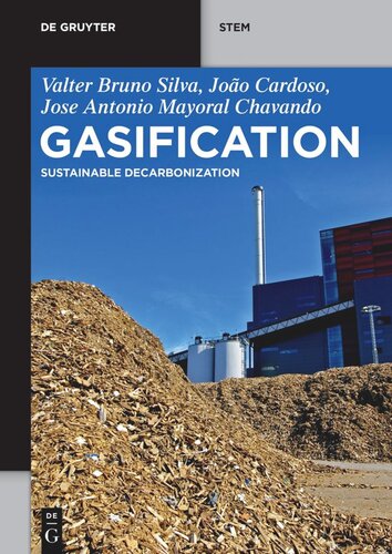 Gasification 1st Edition Valter Bruno Silva Joo Cardoso Antonio Chavando