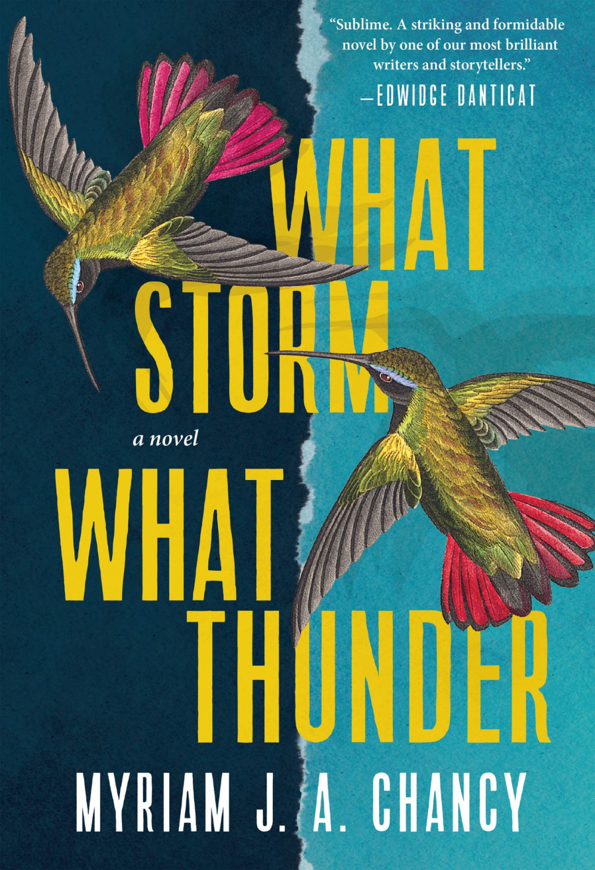 What Storm What Thunder Myriam J A Chancy