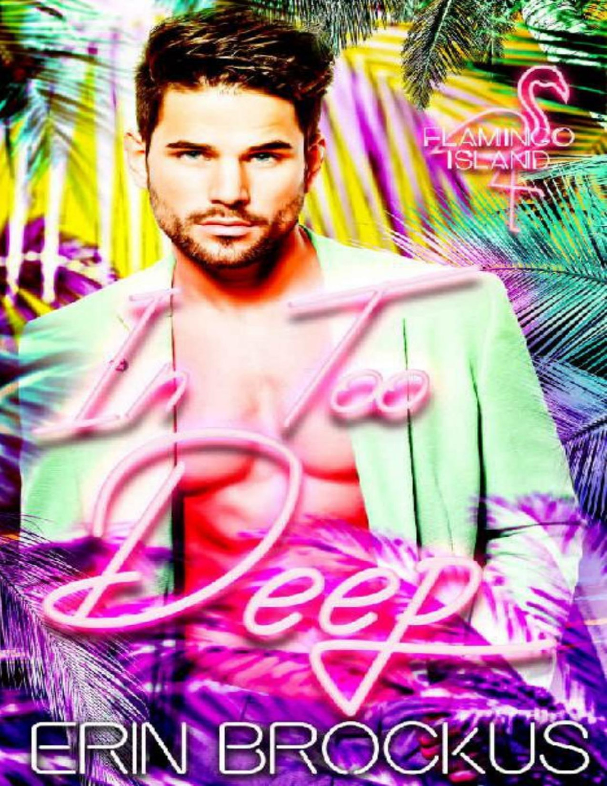 In Too Deep A Second Chance Romance Flamingo Island Erin Brockus