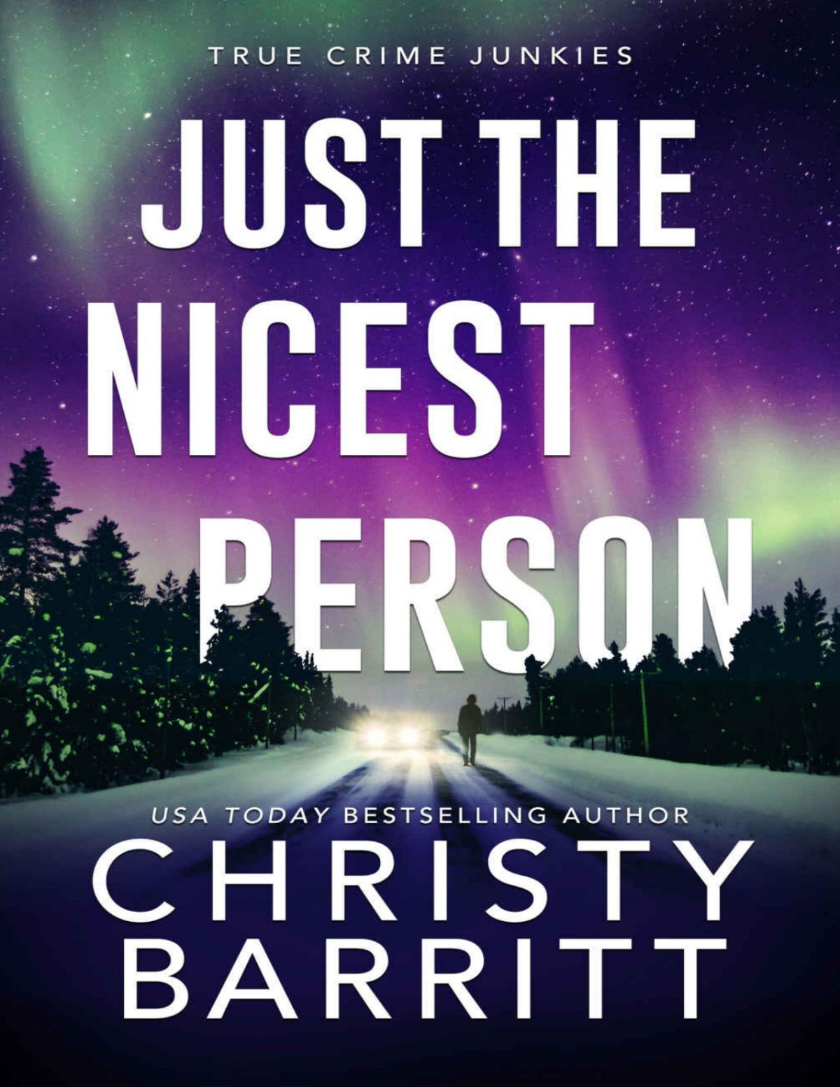 Just The Nicest Person True Crime Junkies Book 1 Christy Barritt