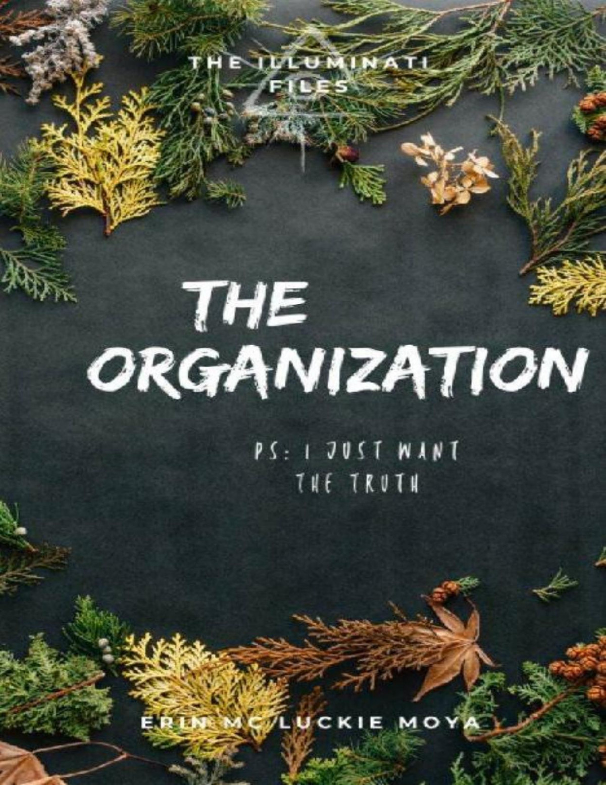 The Organization The Illuminati Files Book 4 Erin Mc Luckie Moya