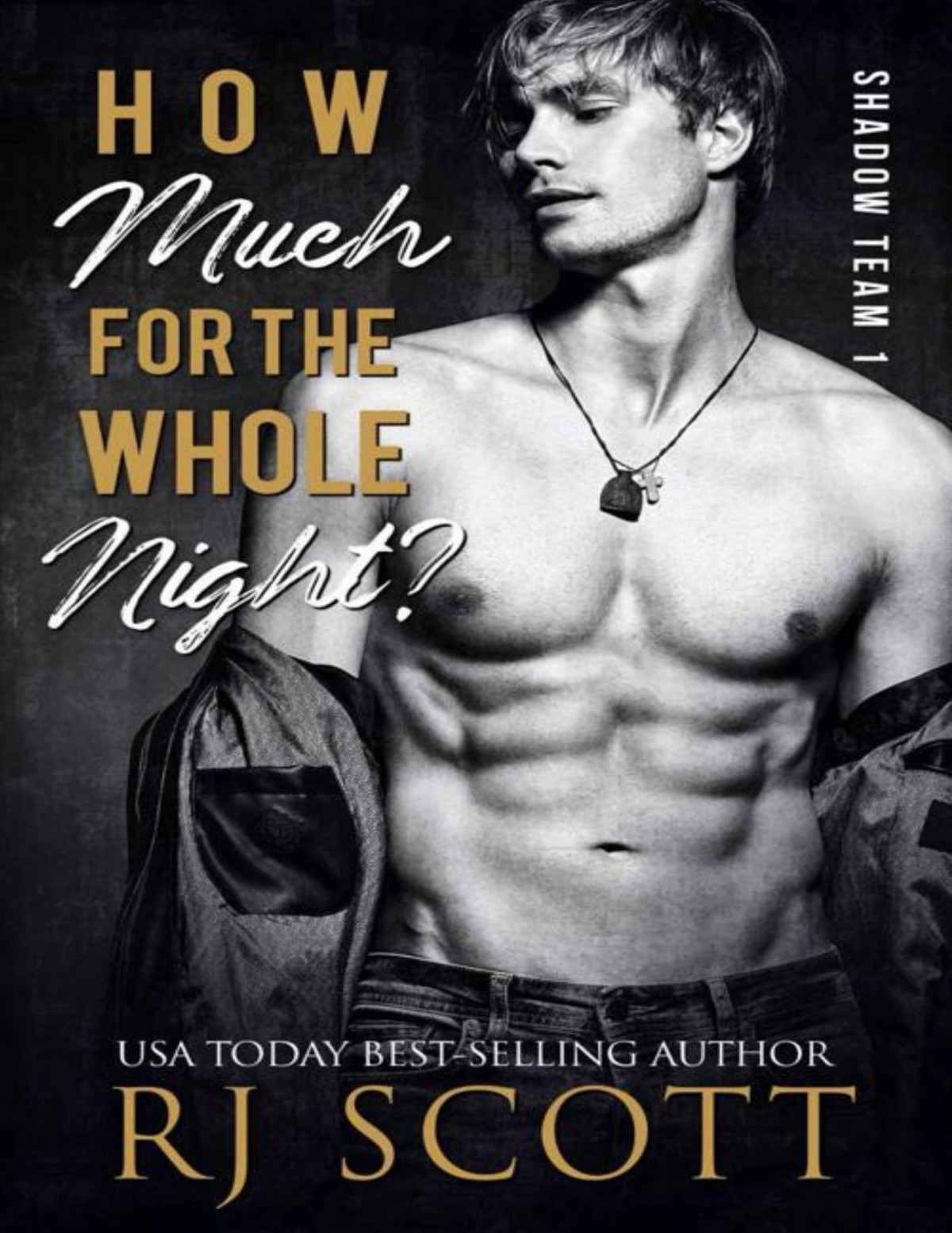 How Much For The Whole Night Shadow Team Book 1 Rj Scott