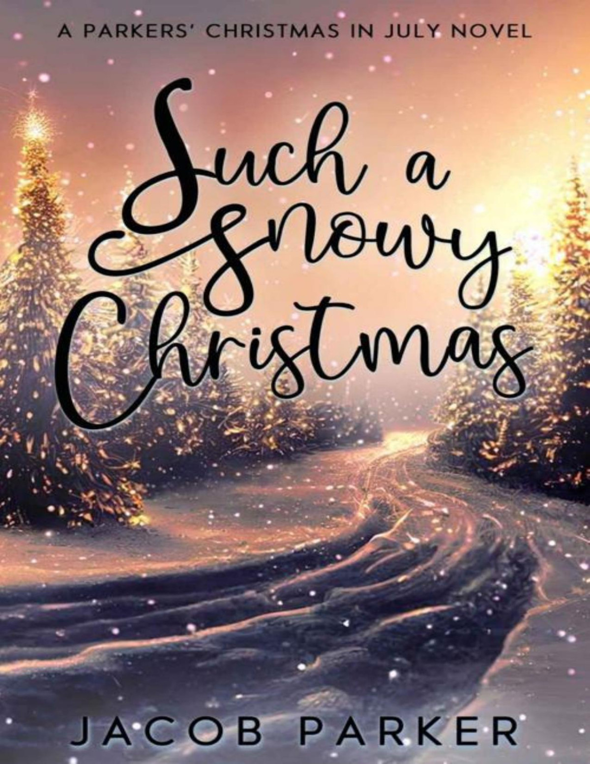 Such A Snowy Christmas Jacob Parker