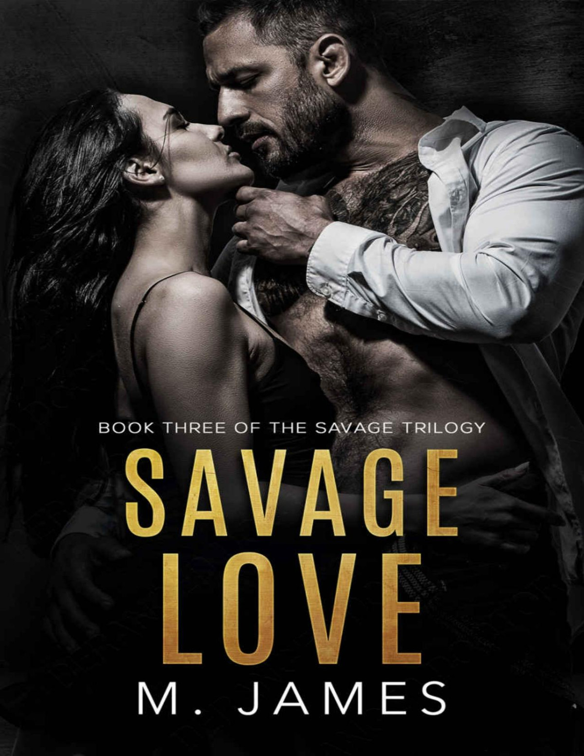 Savage Love A Dark Mafia Romance The Savage Trilogy Book 3 M James