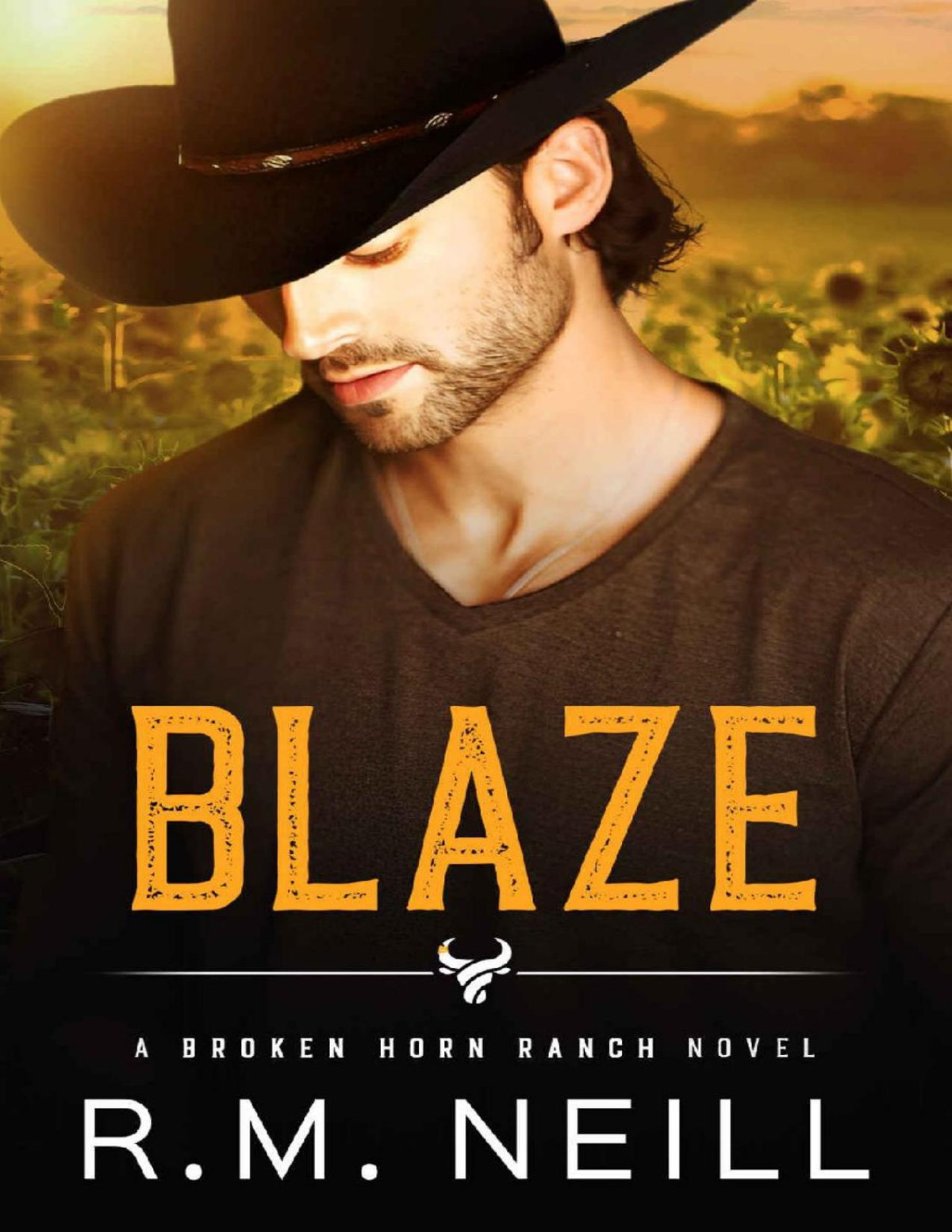 Blaze Mm Billionaire Cowboy Romance The Broken Horn Ranch Rm Neill