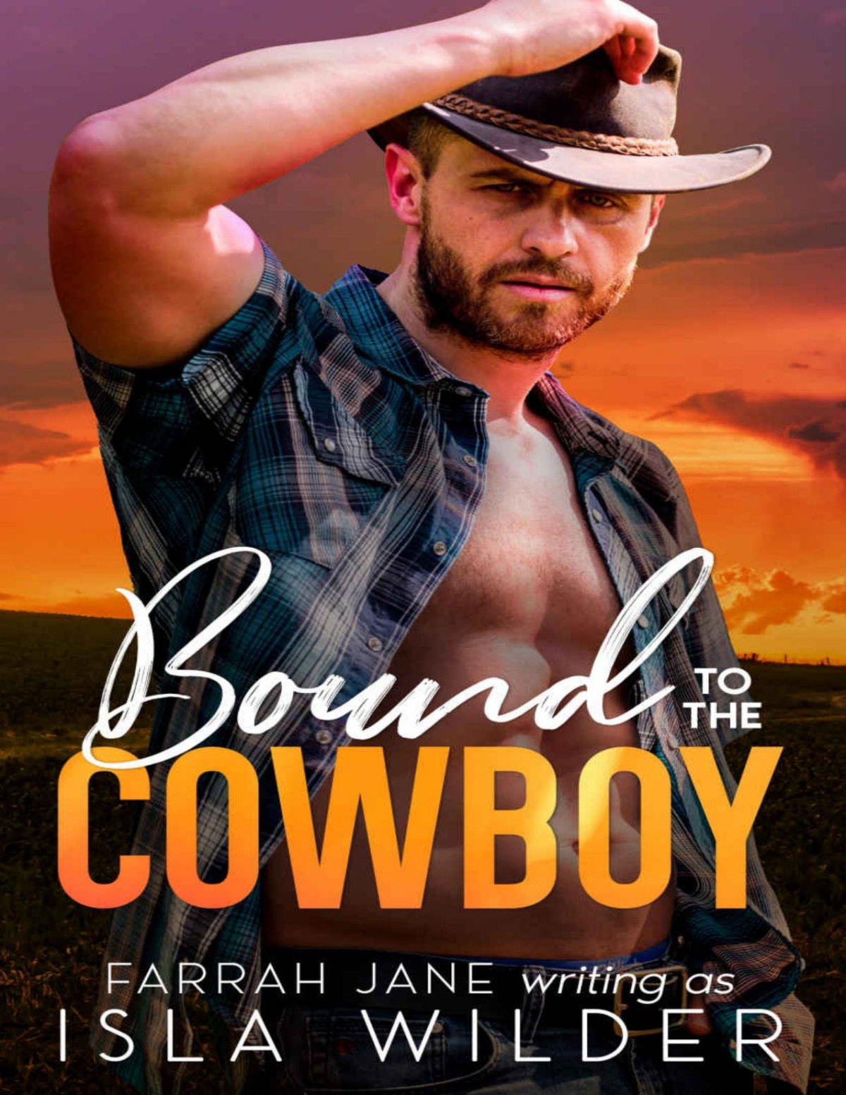 Bound To The Cowboy A Small Town Offlimits Romance Farrah Jane Isla Wilder