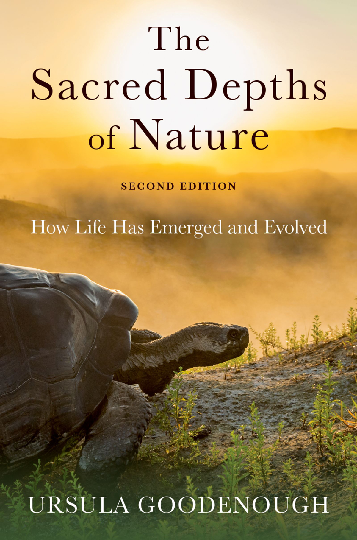 The Sacred Depths Of Nature Ursula Goodenough