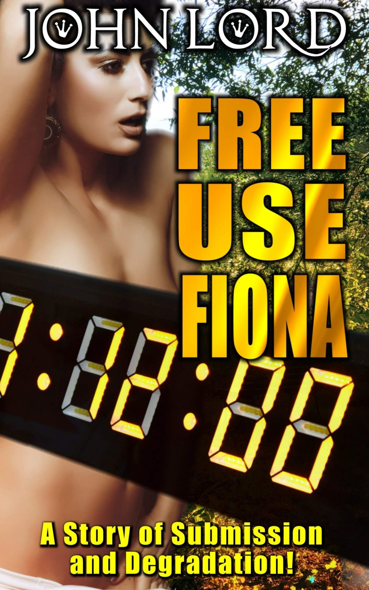 Free Use Fiona 1st Edition John Lord