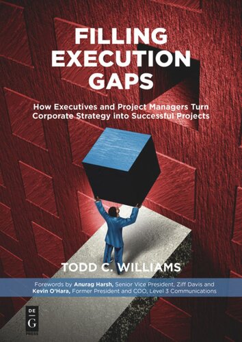 Filling Execution Gaps How Executives And Project Managers Turn Corporate Strategy Into Successful Projects Todd C Williams